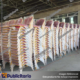 SILLA-PARA-EVENTOS-PUBLICITARIOS
