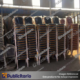 SILLA-PARA-EVENTOS-PUBLICITARIOS